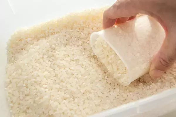 「コメの備蓄はあと15日分しかない…高市政権の食料危機なのに備蓄を減らす"無策"が｢令和飢饉｣をもたらす」の画像