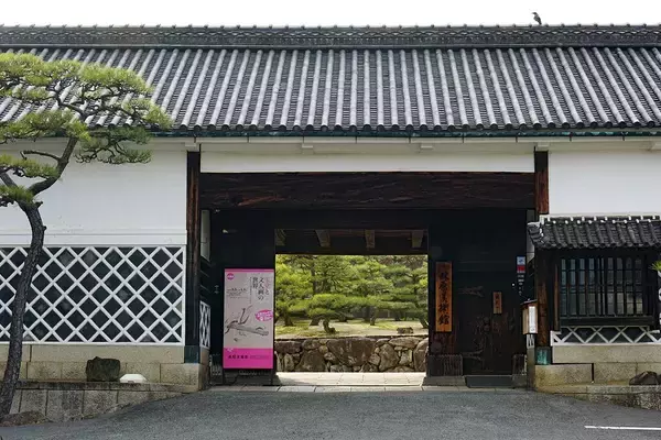 「秀吉でも家康でもない…最新研究でわかった､明智光秀を｢本能寺の変｣へと追い詰めた"信長の側近"の名前」の画像