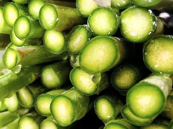 「急逝した義父のアスパラ畑をヨメが継ぐ…｢ダサい｣｢汚い｣｢儲からない｣を卒業した主婦の驚きの販売方法」の画像