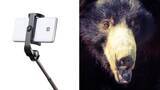 「自撮りのためにクマへ突進､だが鋭い爪が皮膚を切り裂き…承認欲求に憑りつかれた男の悲惨すぎる末路」の画像1