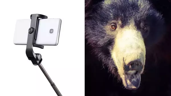 自撮りのためにクマへ突進､だが鋭い爪が皮膚を切り裂き…承認欲求に憑りつかれた男の悲惨すぎる末路