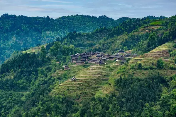 「地主の生殖器が切り取られ食用に…文化大革命で何が起きていたのか｢近年明るみになった直視にたえない事実｣」の画像