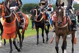 「｢本能寺の変の首謀者｣を当時の公家は知っていた…信長の長宗我部いじめで最も立場を失った明智光秀配下の武将【2026年6月BEST】」の画像1