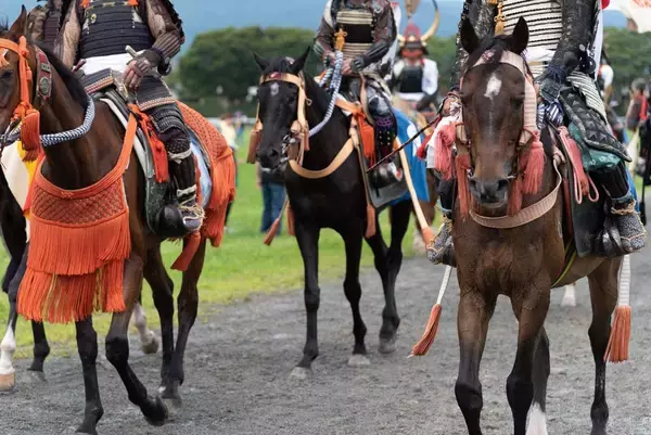 ｢本能寺の変の首謀者｣を当時の公家は知っていた…信長の長宗我部いじめで最も立場を失った明智光秀配下の武将【2026年6月BEST】