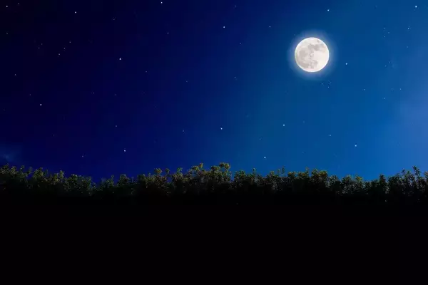 ｢藤原家バトルロワイヤル｣がエグすぎる…"長男ではない"道長が争いを勝ち抜き我が世の春を謳歌できたワケ