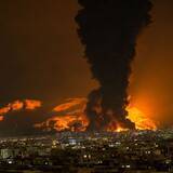 「本当にマズいのは原油でも天然ガスでもない…ホルムズ海峡封鎖で｢日本の農業｣が崩壊する最悪シナリオ」の画像5