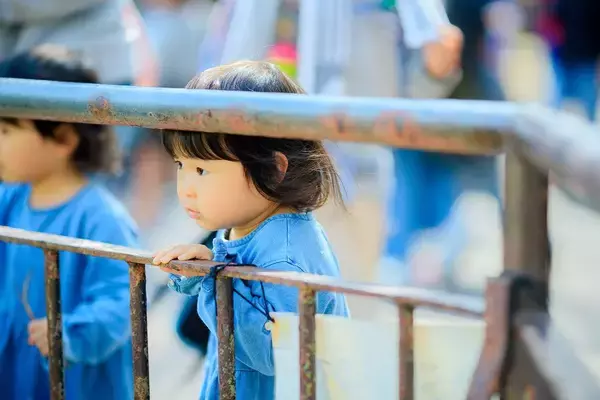 「そりゃもう1人産みたくなるわ…なぜか子供を4人5人と作る家庭が多い地方保育園が親に与えているもの【2026年4月BEST】」の画像