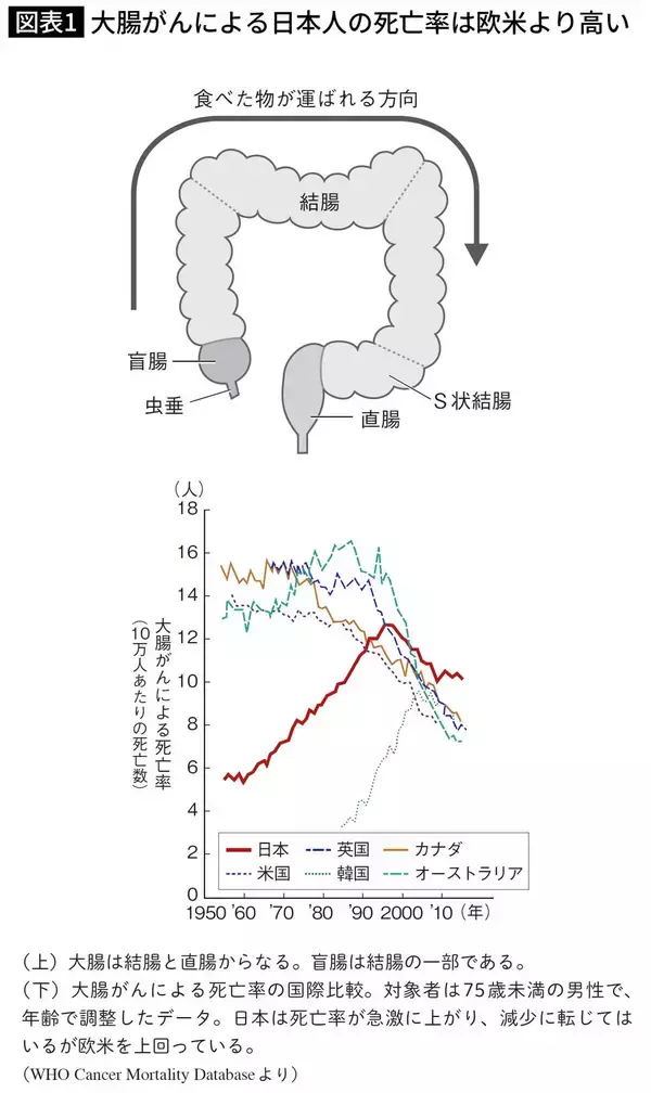 酒･タバコと同じくらい危険…10年続けると｢大腸がん｣発症率が2倍に跳ね上がる､職場で毎日やっている習慣