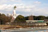 「50年間｢豚｣扱いされ…兄･父とずっと険悪な50代女性が79歳認知症母の夜中トイレ介助で迎えた心身の限界」の画像2