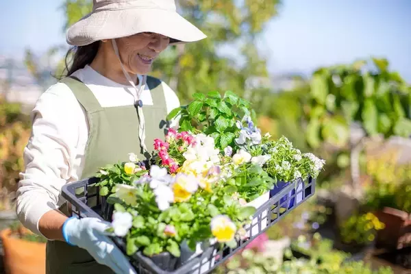 「だから｢終わるはずの子育て｣が70年続いた…90代母に70代｢ひきこもり息子｣が放った強烈な一言」の画像
