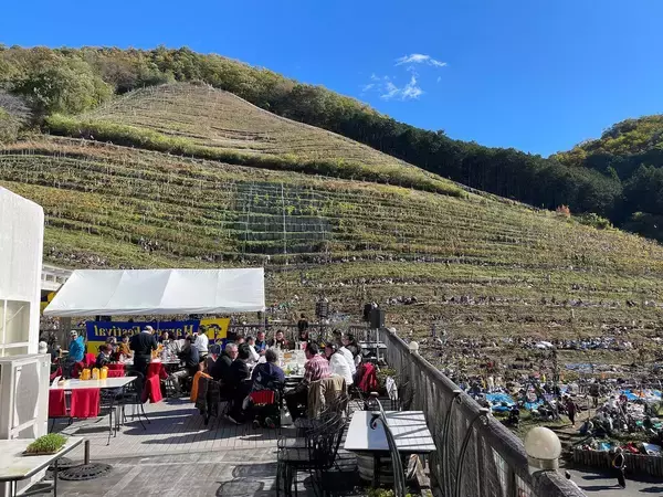 「山梨産でも､長野産でもない…JALファーストクラスが採用した｢無名のワイン｣が世界で評価を一変させた理由【2026年1月BEST】」の画像