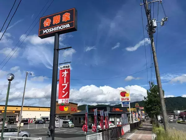 「とんかつもステーキもダメだった…牛丼一筋125年の吉野家が｢第2の柱｣に選んだ"から揚げ"だけがもつ勝ち要素」の画像