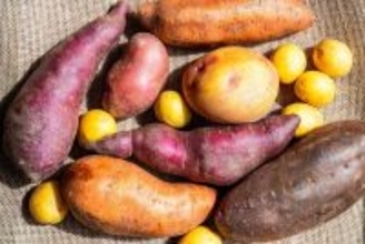 昼食は｢焼き芋2本､ジャガイモ2個､野菜炒め2皿｣…日本が食料危機で｢米から芋食｣にシフトする日