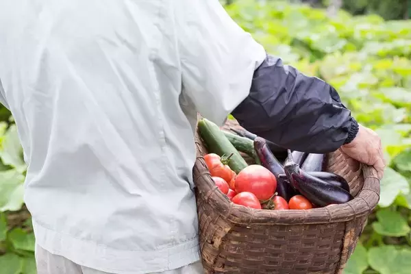 「昼食は｢焼き芋2本､ジャガイモ2個､野菜炒め2皿｣…日本が食料危機で｢米から芋食｣にシフトする日」の画像