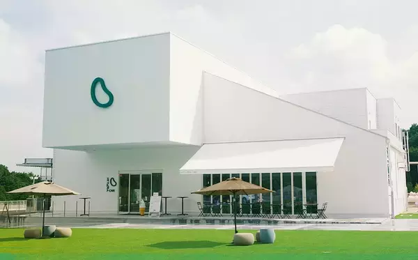 3個100円｢激安ヨーグルト｣を捨ててV字回復…従業員40→2人に激減､瀕死の乳業メーカーが蘇った"逆転の一手"