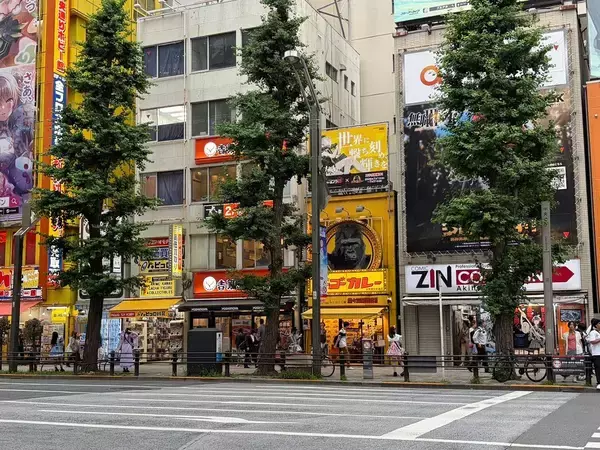 「カフェなのに料金は40分で1万円超…本物の｢メイド喫茶｣が激減した秋葉原で､いま急増している"飲食店"の正体」の画像