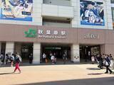 「カフェなのに料金は40分で1万円超…本物の｢メイド喫茶｣が激減した秋葉原で､いま急増している"飲食店"の正体」の画像5