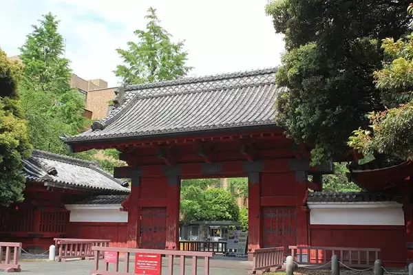 中国人は｢高1レベルの試験｣を使って東大に合格している…日本に押し寄せる外国人留学生の｢知られざる目的｣