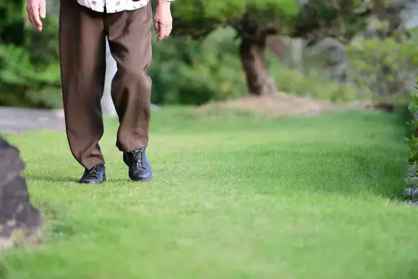 「SNSもAIロボットも使いこなす95歳の"健康の秘訣"…現役歌舞伎役者が｢これだけは使わない｣と決めた日用品」の画像