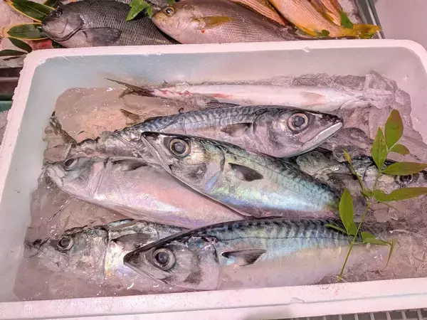 「そりゃ安く作れるわけだ…｢牛肉でも豚肉でもない｣大人6人分のすき焼きを3000円に収めた"まさかの食材"」の画像