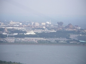 過去最高益なのに株価が半減…投資家の"ディズニー離れ"を招いた｢値上げ｣｢年パス廃止｣の代償【2026年2月BEST】