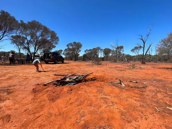 「昆虫食は美味しくない」説は覆った…オーストラリアの荒野に生息する"スイーツのような虫"の正体