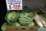 「｢キャベツ1玉500円｣は序章にすぎない…｢いままでが安すぎた｣国産野菜が"高級品化"している不都合な真実」の画像1