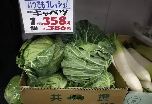 ｢キャベツ1玉500円｣は序章にすぎない…｢いままでが安すぎた｣国産野菜が"高級品化"している不都合な真実