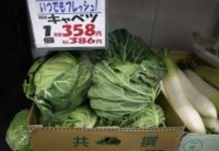 ｢キャベツ1玉500円｣は序章にすぎない…｢いままでが安すぎた｣国産野菜が"高級品化"している不都合な真実