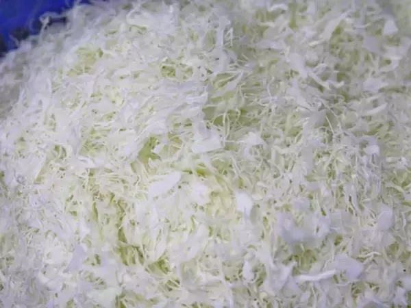 「｢キャベツ1玉500円｣は序章にすぎない…｢いままでが安すぎた｣国産野菜が"高級品化"している不都合な真実」の画像