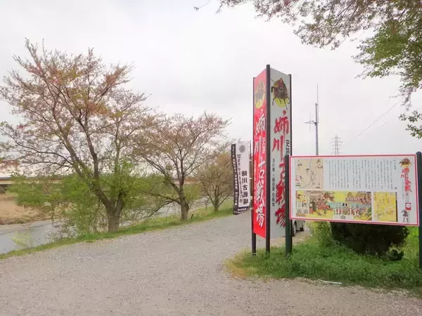 「家康が先陣に選ばれたのは"消去法"だった…教科書には載っていない｢姉川の戦い｣で信長が犯した致命的なミス」の画像