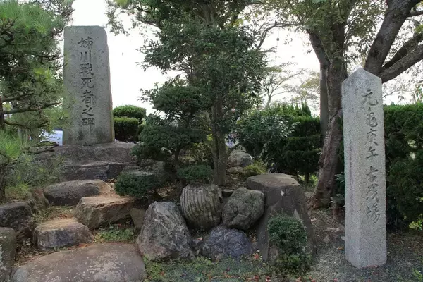 「家康が先陣に選ばれたのは"消去法"だった…教科書には載っていない｢姉川の戦い｣で信長が犯した致命的なミス」の画像