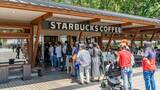 「スタバではなくドトールを選ぶのは"センスのない選択"なのか…ドトールでコーヒーを飲む哲学的意味【スタバは特別3選】」の画像2