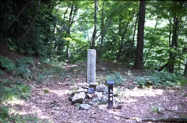 「残念ながら､浅井長政は｢悲劇の武将｣ではない…｢豊臣兄弟!｣は描かれない､信長に潰された"小谷落城"の真相」の画像