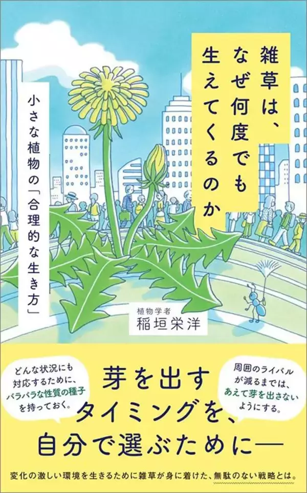 「｢雑草魂=がむしゃらに頑張る｣ではない…植物学者が解説する｢タンポポがアスファルトでも育つ｣本当の理由」の画像