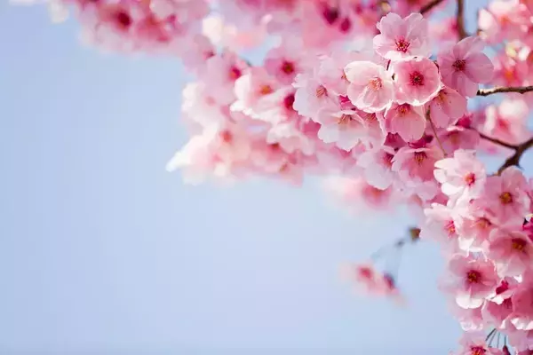 新学期早々｢3カ月まるまる休職｣する病に…医師が｢季節の変わり目の体調不良｣を甘く見るなと話すワケ