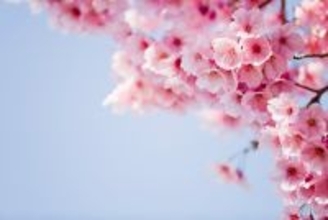 新学期早々｢3カ月まるまる休職｣する病に…医師が｢季節の変わり目の体調不良｣を甘く見るなと話すワケ