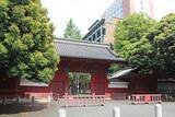 「中学受験塾での｢偏差値マイナス｣に母は膝から崩れ落ちた…"おバカな子"の東大理III逆転合格の突破口」の画像3