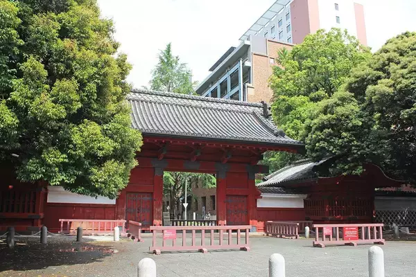 「中学受験塾での｢偏差値マイナス｣に母は膝から崩れ落ちた…"おバカな子"の東大理III逆転合格の突破口」の画像