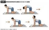「1回1分､家にいながらできる…9割の専門家が｢どのタイプの腰痛にも効果あり｣と指摘する"最強の治療"」の画像4