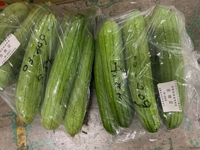 ｢もはや異常事態｣沖縄の野菜は自由な持ち出しNG…日本本土にまで迫る"特殊害虫"の正体