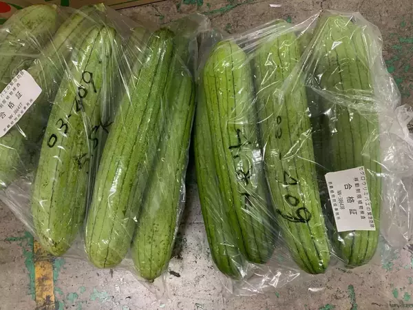 ｢もはや異常事態｣沖縄の野菜は自由な持ち出しNG…日本本土にまで迫る"特殊害虫"の正体