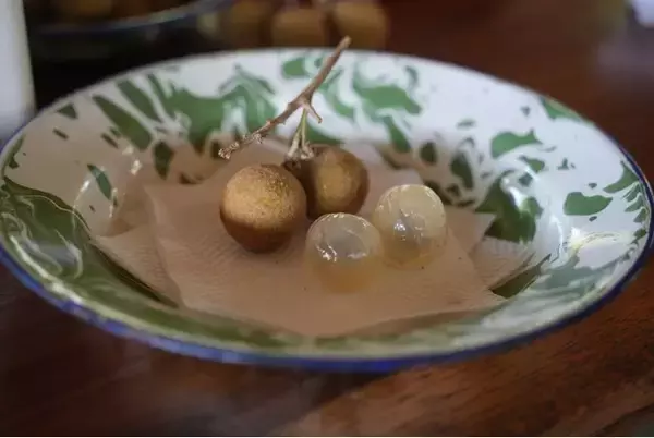 インドネシア・ジョグジャカルタから世界へ、APKM会長 アフマッド・ジャナン氏を表敬訪問