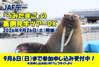 【JAF大分】大分マリーンパレス水族館「うみたまご」で、裏側見学ツアーを開催！