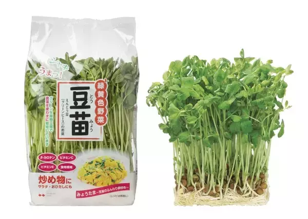 村上農園「豆苗」発売30周年！ “家計のお助け野菜”は、会社を救った“お助け野菜”だった