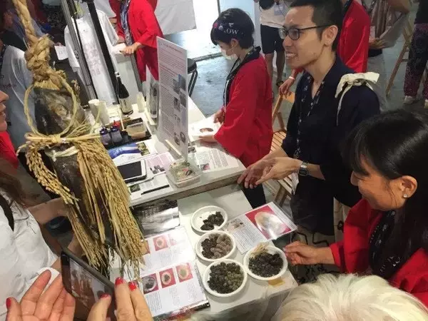 「「ジェラートは科学」。京大院卒の甘納豆屋4代目が本場イタリアの配合理論で作る"種"のジェラート「SHUKA gelato」の開発ストーリー」の画像