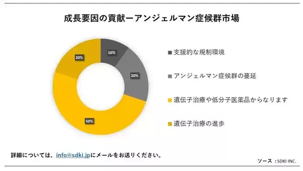 アンジェルマン症候群市場（Angelman Syndrome Market）に関する詳細な調査は、2023年のそのランドスケープを理解するために実施されました。