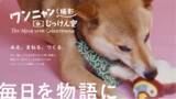 「ガムテープとタッパーで映画のワンシーンを再現！？愛犬・愛猫を可愛く撮る"おうち撮影テクニック"を発信するYoutubeチャンネルを初開設」の画像1