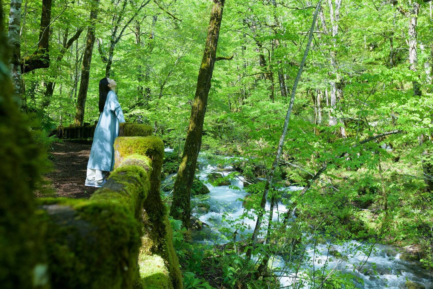 唯一無二の「コケまみれ」なシャトルバスをつくりたい――。星野リゾート　奥入瀬渓流ホテルが情熱をかけた、前代未聞のプロジェクト「おいらせコケバス」