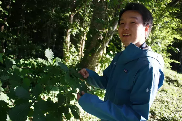 「唯一無二の「コケまみれ」なシャトルバスをつくりたい――。星野リゾート　奥入瀬渓流ホテルが情熱をかけた、前代未聞のプロジェクト「おいらせコケバス」」の画像